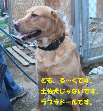 f0008935_828826.gif