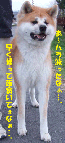 f0008935_8404067.gif