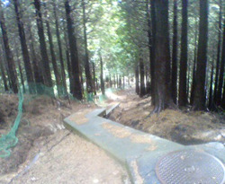 d0107938_23334334.jpg