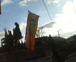 d0107938_23421977.jpg