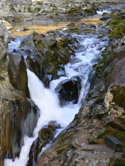e0083238_7362443.jpg