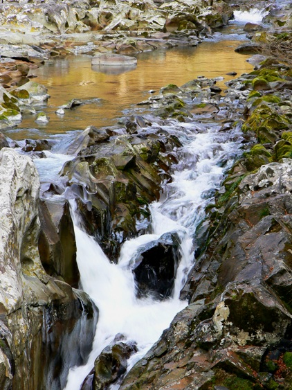 e0083238_736484.jpg