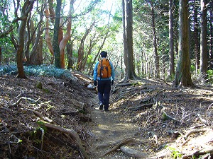 f0065941_22241557.jpg