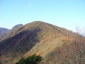 f0065941_22273451.jpg