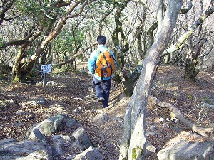 f0065941_22275183.jpg