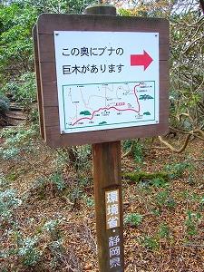 f0065941_22313710.jpg
