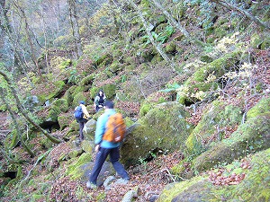 f0065941_22351318.jpg