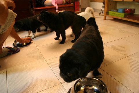e0018143_0454750.jpg