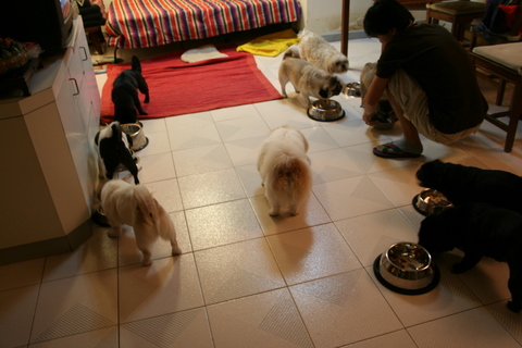 e0018143_0472360.jpg