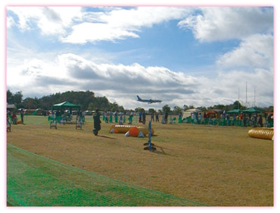 c0115145_23334616.jpg