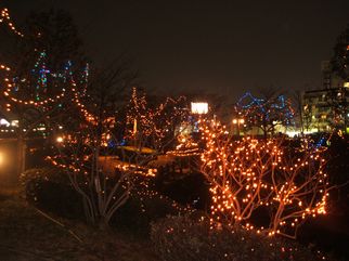 f0096955_05812100.jpg