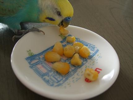 f0149057_20102050.jpg