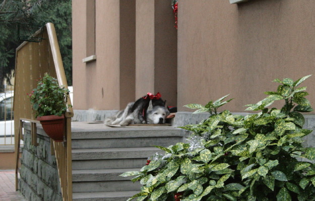 f0077159_3454851.jpg