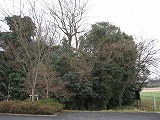 e0041168_10453991.jpg