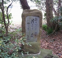 e0041168_1050140.jpg
