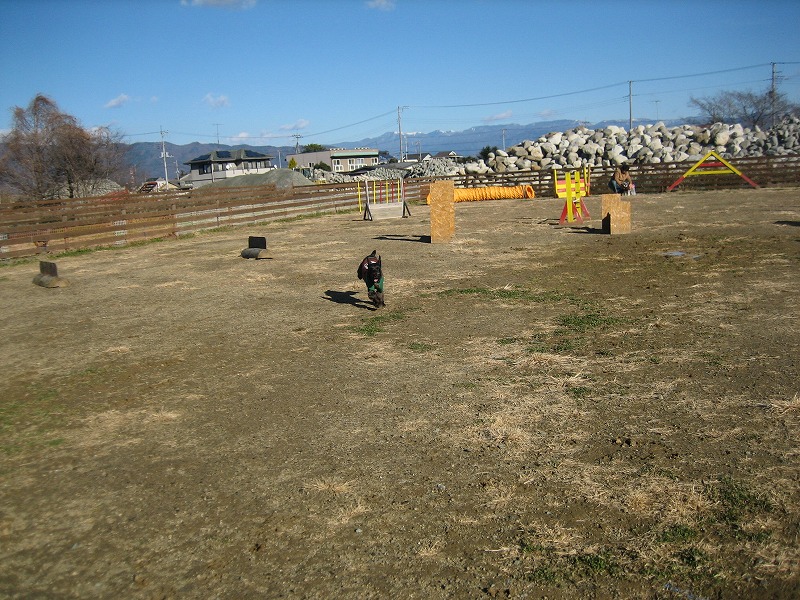 a0104569_2085756.jpg