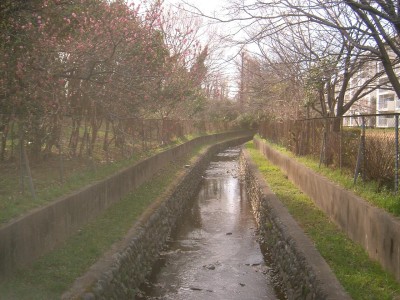 c0112172_1482979.jpg