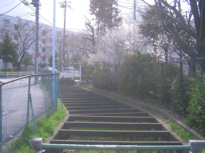 c0112172_14896.jpg