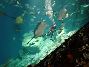 d0137080_221622.jpg