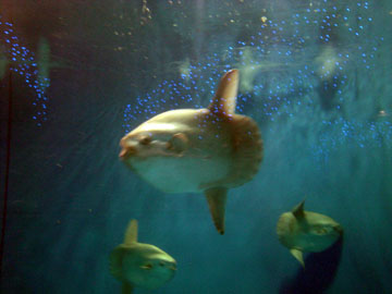 d0137080_222871.jpg