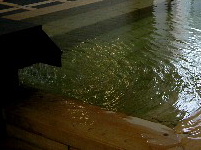 a0067991_12342099.jpg