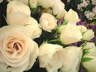 f0059291_23311798.jpg