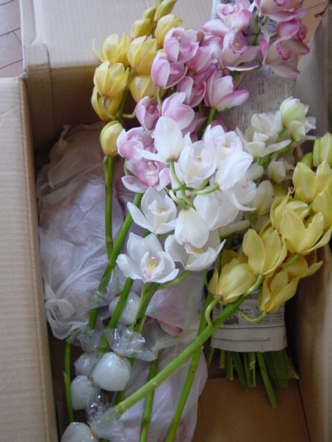 b0083902_044147.jpg