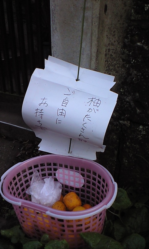 b0083902_2264877.jpg