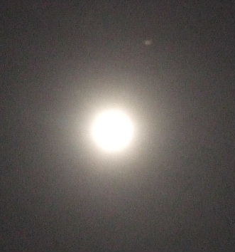 d0024504_17352586.jpg