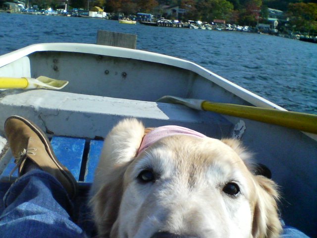 e0072606_10371131.jpg