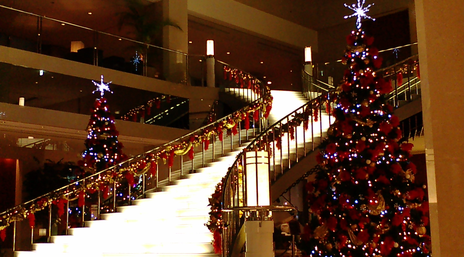 a0105809_178276.jpg
