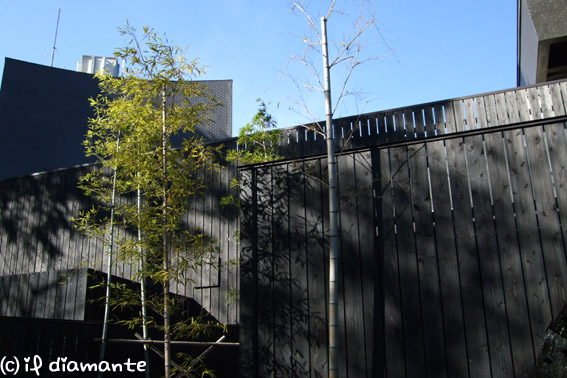 e0071409_127726.jpg
