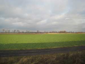 e0038811_1911652.jpg