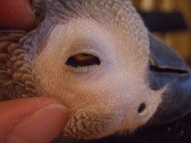 c0133013_0122714.jpg