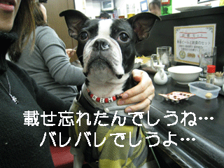 e0080117_2042317.gif