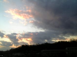 e0119017_3124353.jpg
