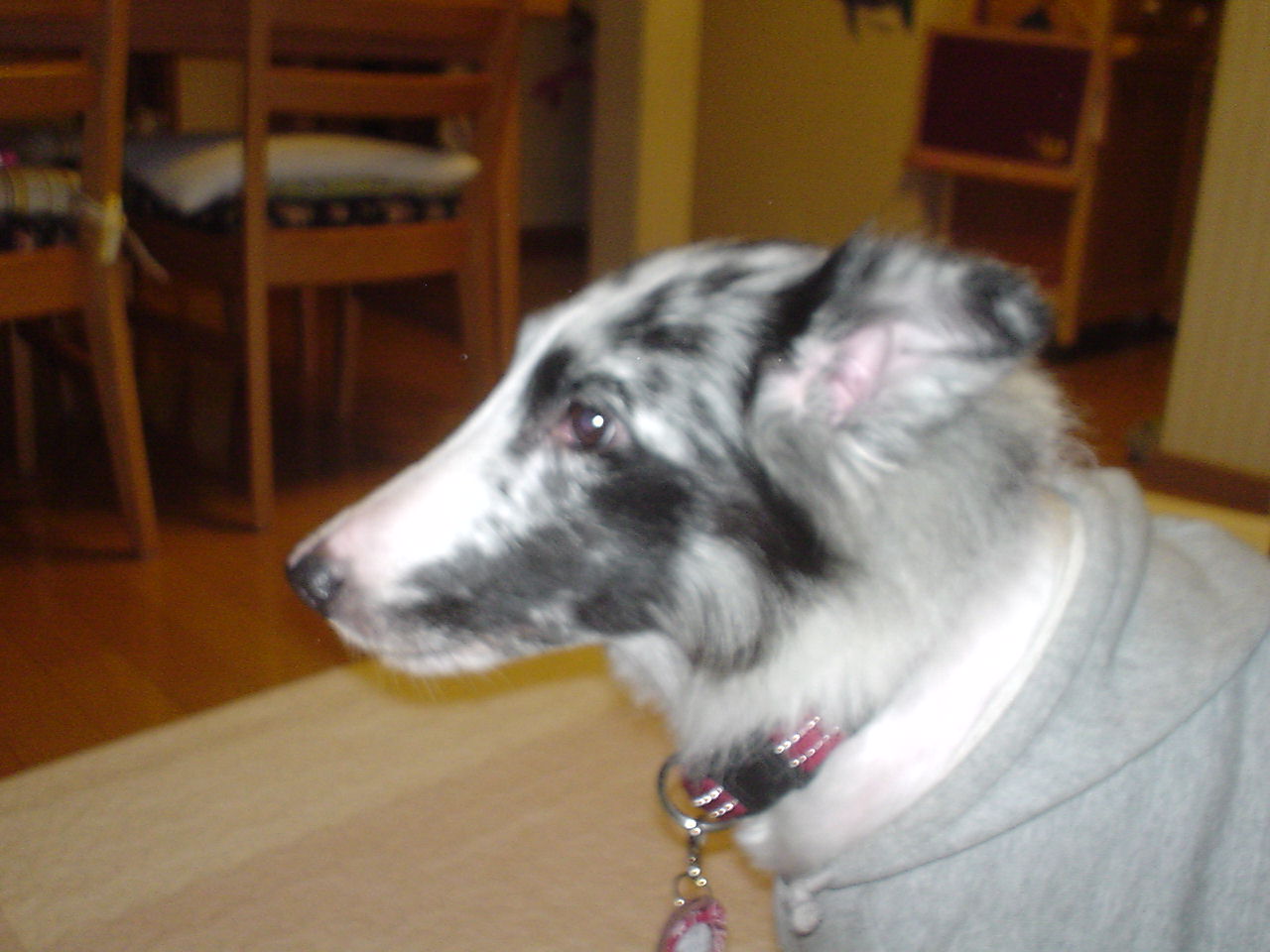 c0150520_14913.jpg