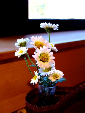 d0027320_20405027.jpg