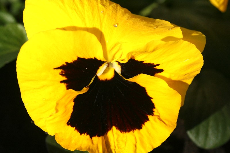 a0004023_178196.jpg