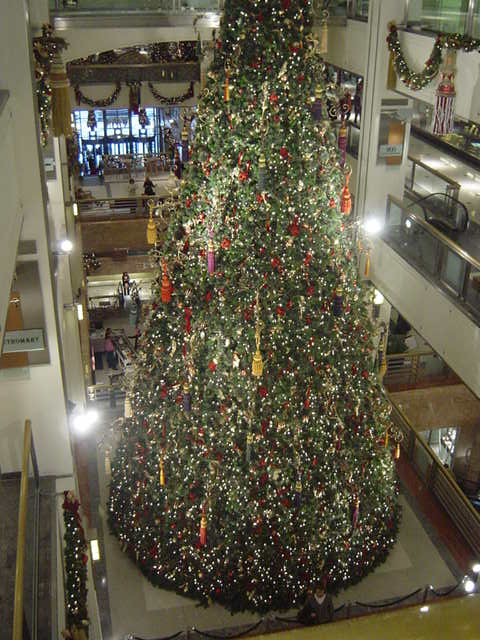 b0105724_112538100.jpg