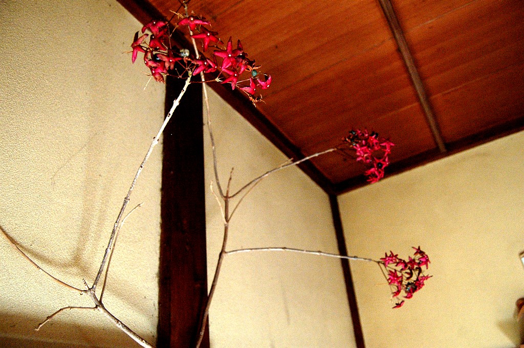 e0107030_20323768.jpg
