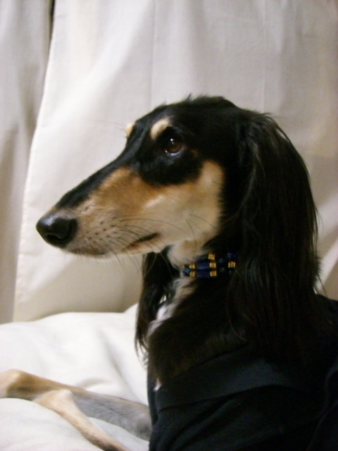 f0039538_21573690.jpg