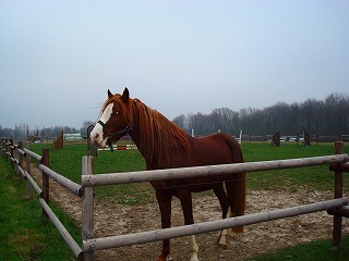 c0153740_2392879.jpg