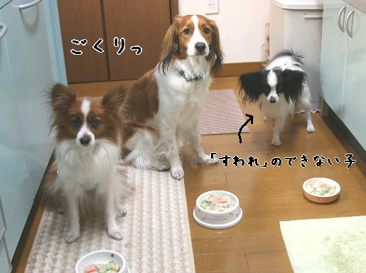 d0013149_134256.jpg