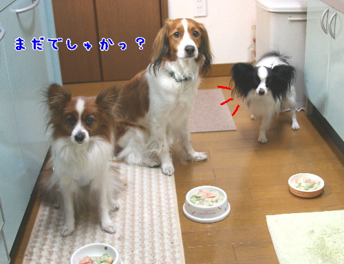 d0013149_13658.jpg