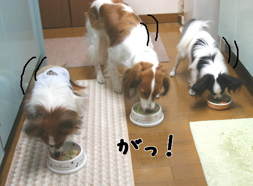 d0013149_1385179.jpg