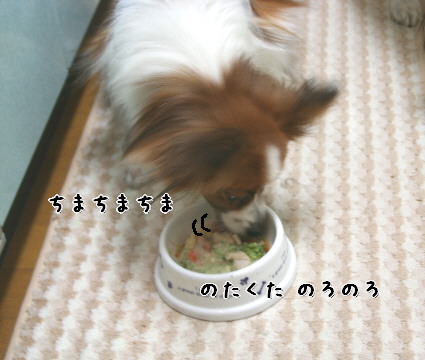 d0013149_1412580.jpg