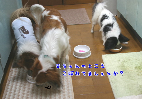 d0013149_144636.jpg