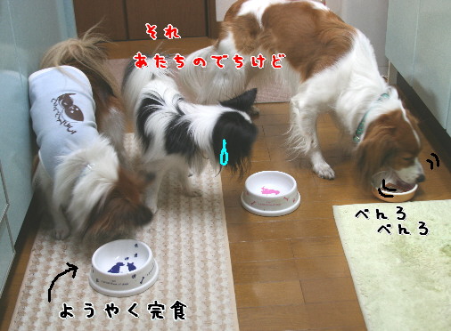 d0013149_145860.jpg
