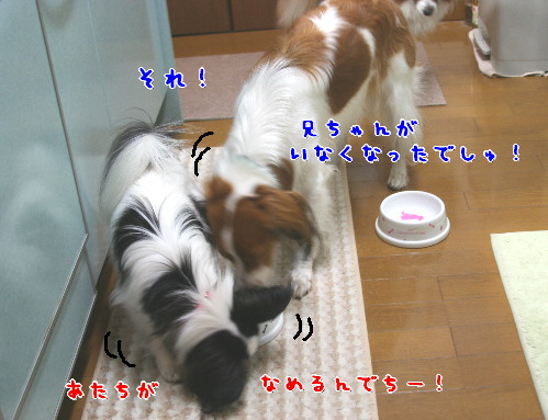 d0013149_1482958.jpg
